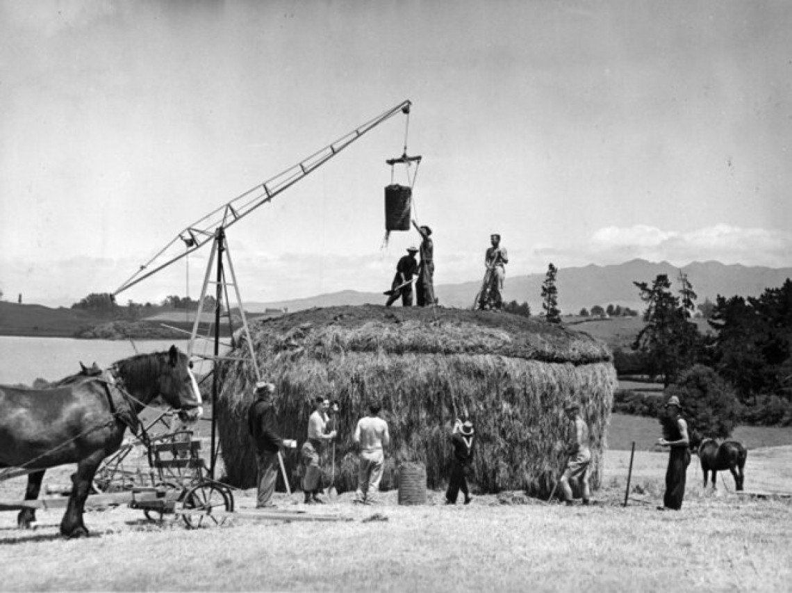 hay stack