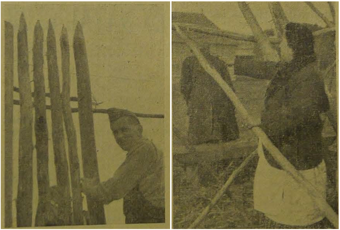 In Print image v2