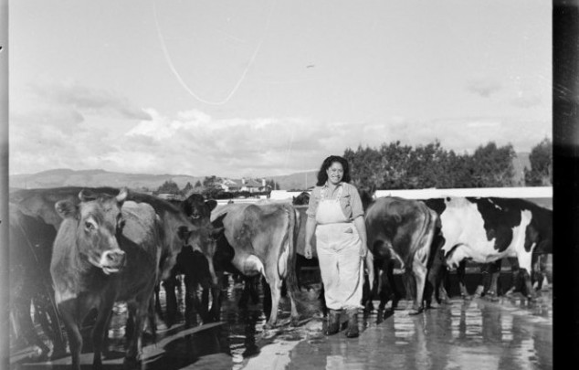 Maori Home Front - A land girl in overalls standing by cows, 1943. Pascoe, John Dobree, 1908-1972. Land Girl. Ref: 1/4-000544-F. Alexander Turnbull Library, Wellington, New Zealand. /records/23229836